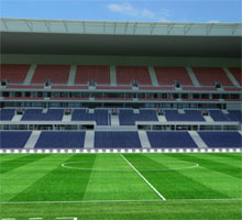 Tribune Est Grand Stade Lyon